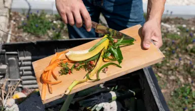 Organic & Food Waste