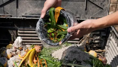 Agricultural Waste<